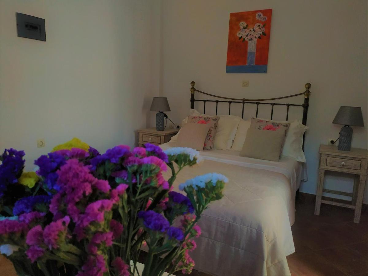 My Little Suites Ermoúpoli Extérieur photo